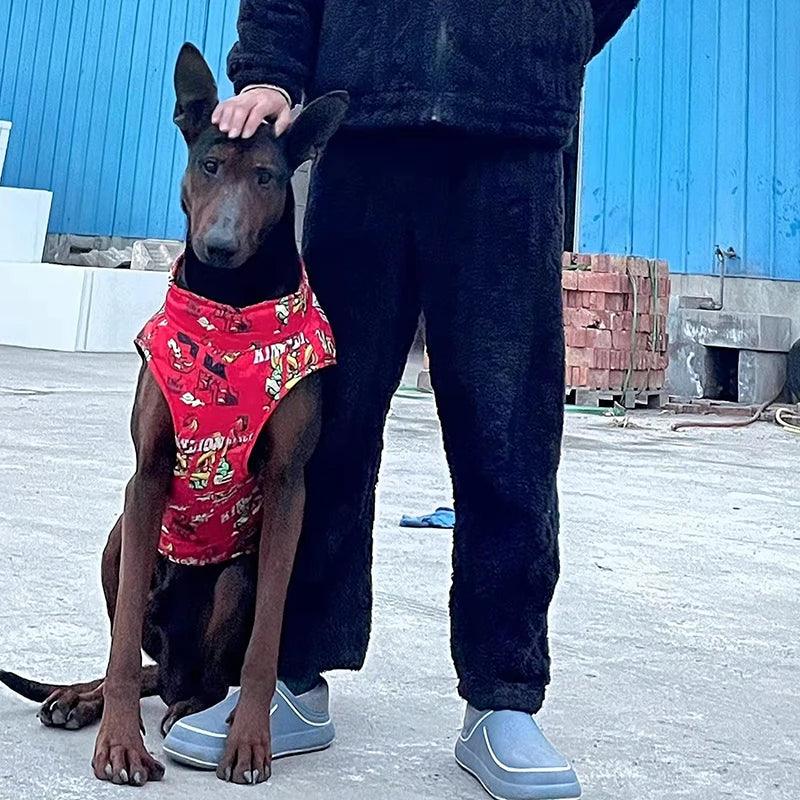 Wasserdichte Hunde-Winterjacke – Stylischer Regen- und Kälteschutz für kleine bis große Hunde