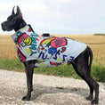 Bild in die Galerie laden, Wasserdichte Hunde-Winterjacke – Stylischer Regen- und Kälteschutz für kleine bis große Hunde 
