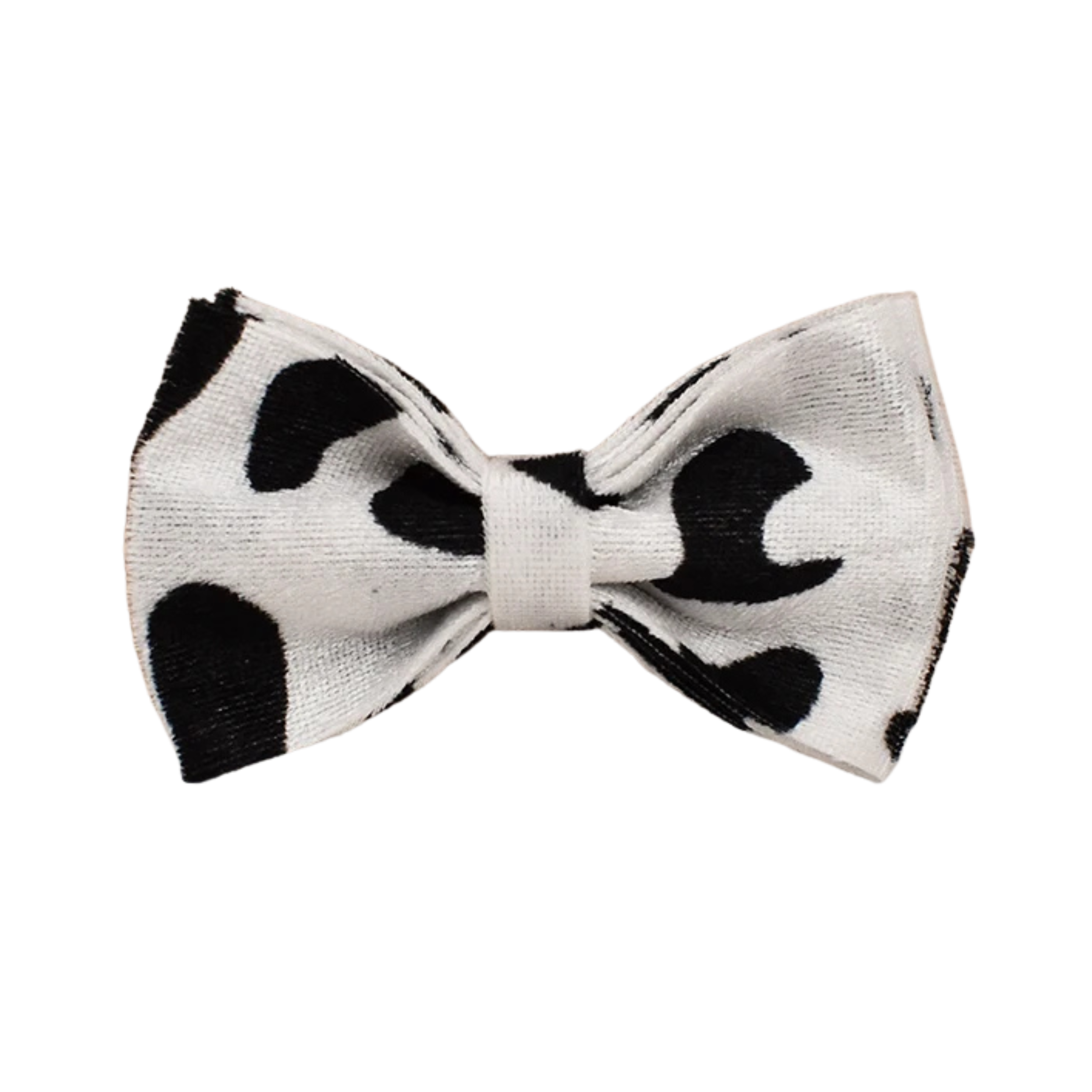 Cattle Chic Samt-Fliege