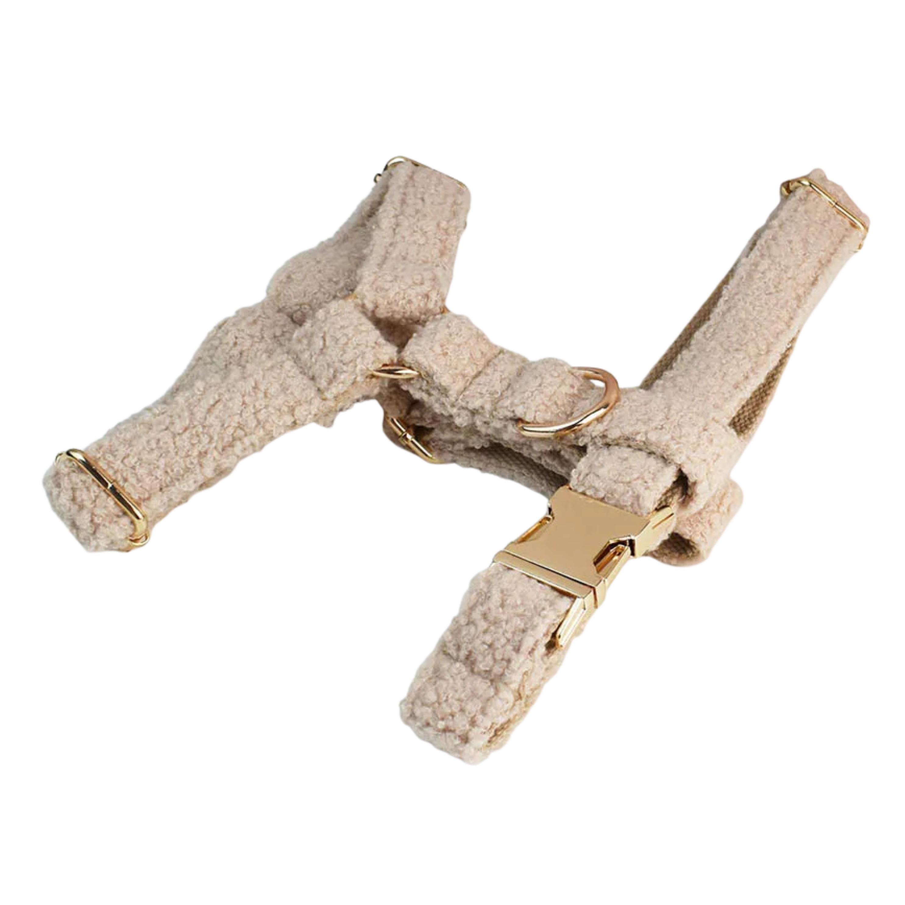 Champagne Teddy Hundegeschirr